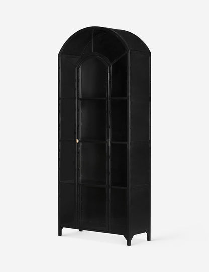 Cressida Curio Cabinet