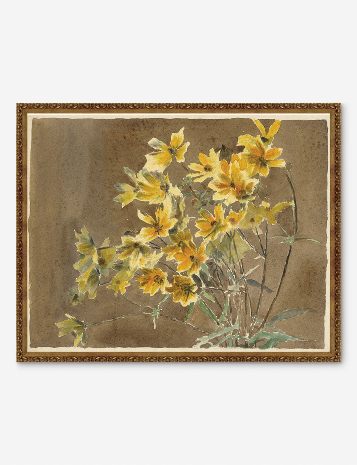 Yellow/Orange Flower with Border Print by Hannah Borger Overbeck