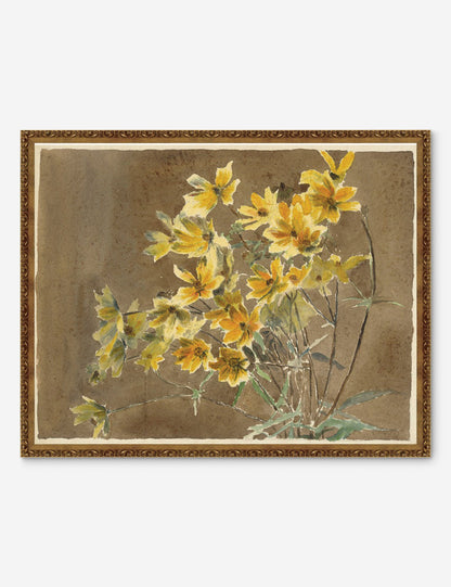 Yellow/Orange Flower with Border Print by Hannah Borger Overbeck