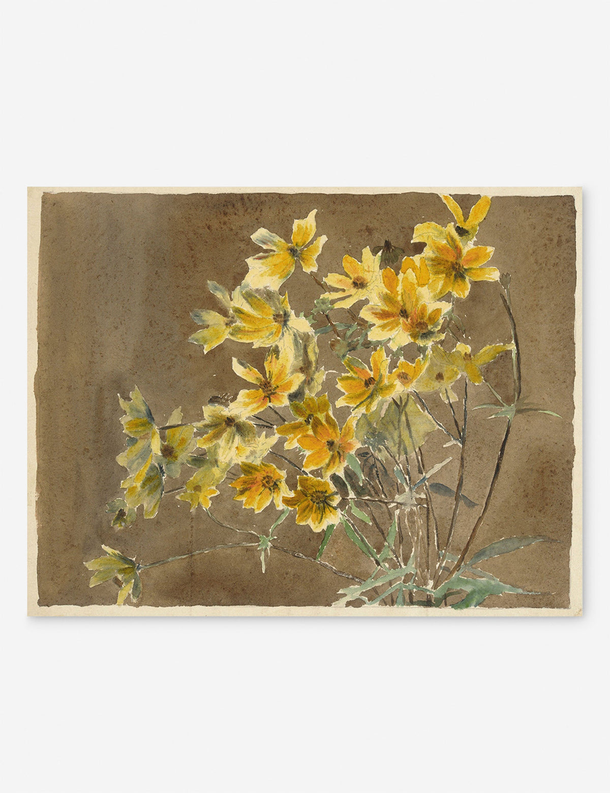 Yellow/Orange Flower with Border Print by Hannah Borger Overbeck