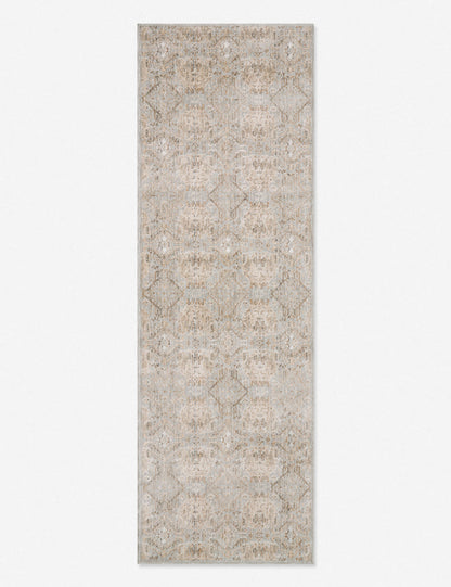 Zuma Rug by Amber Lewis x Loloi