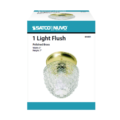 1 Light - 6" - Ceiling Fixture - Clear Pineapple Glass, Color retail packaging