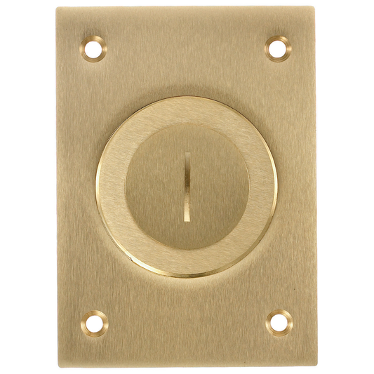 1-Gang Cover, Rectangular, Combination 2-1/8"X 1" Threaded Opening, Brass