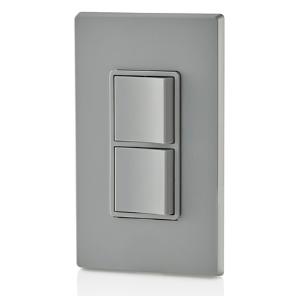 15 Amp Decora Single-Pole / Single-Pole Combination Switch, Grounding, Gray