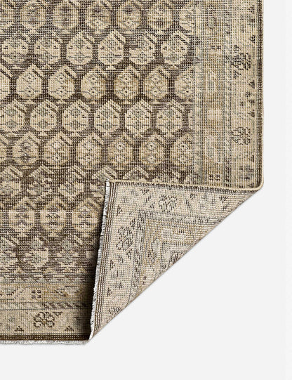 Briella Hand-Knotted Wool Rug