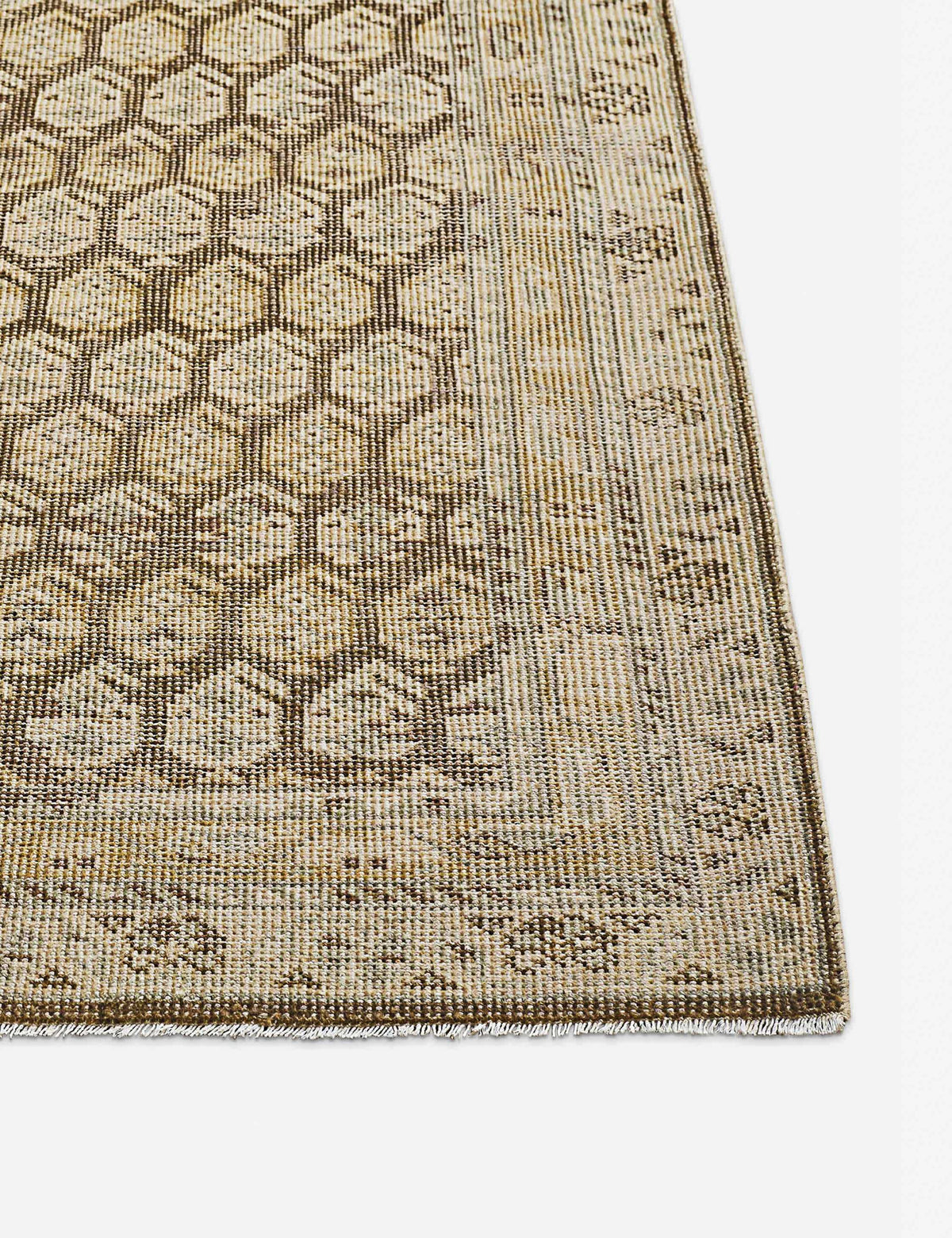 Briella Hand-Knotted Wool Rug