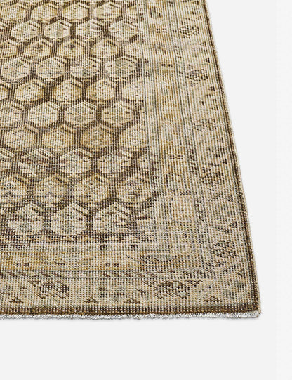 Briella Hand-Knotted Wool Rug
