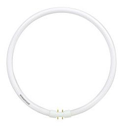 20750, Circline Fluorescent Lamp