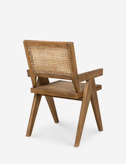 Alvi Dining Chair