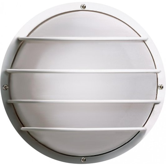 1 Light - 10" Round Cage Polysynthetic Body and Lens - White Finish