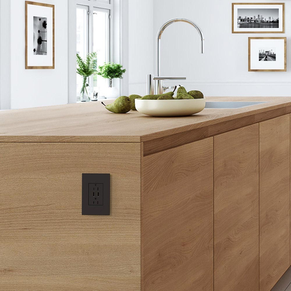 adorne® Graphite 1-Gang Screwless Wall Plate with Microban®