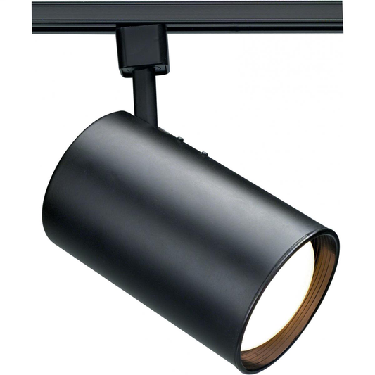 1 Light - R30 - Track Head - Straight Cylinder - Black Finish
