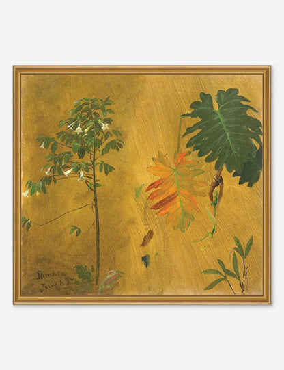 Botanical Study, Jamaica Print by Frederic Edwin Church