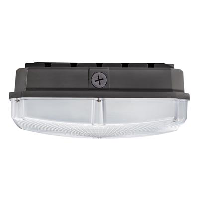 40W LED Canopy 5000K
