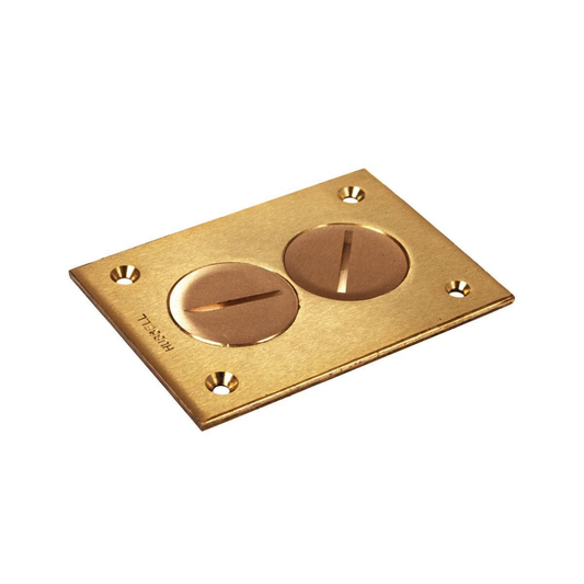 1-Gang Rectangular Floor Box Duplex Cover with Two 1-1/2 in. Threaded Plugs