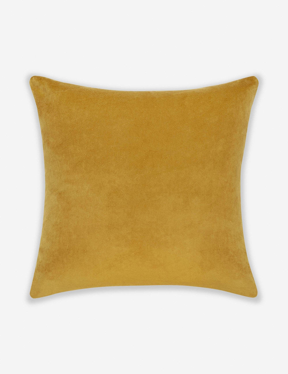 Charlotte Velvet Pillow
