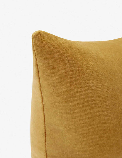 Charlotte Velvet Pillow