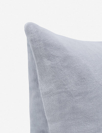 Charlotte Velvet Pillow