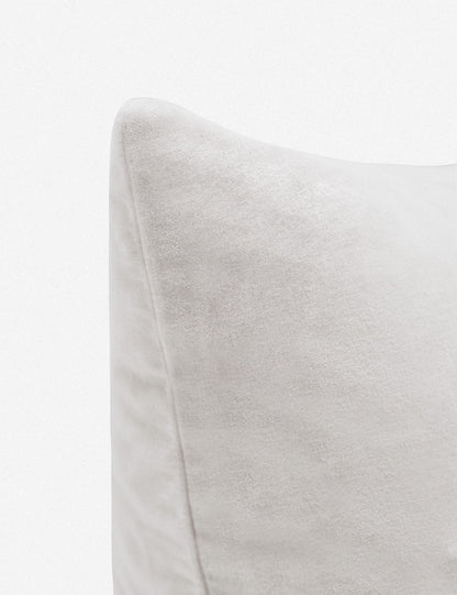 Charlotte Velvet Pillow