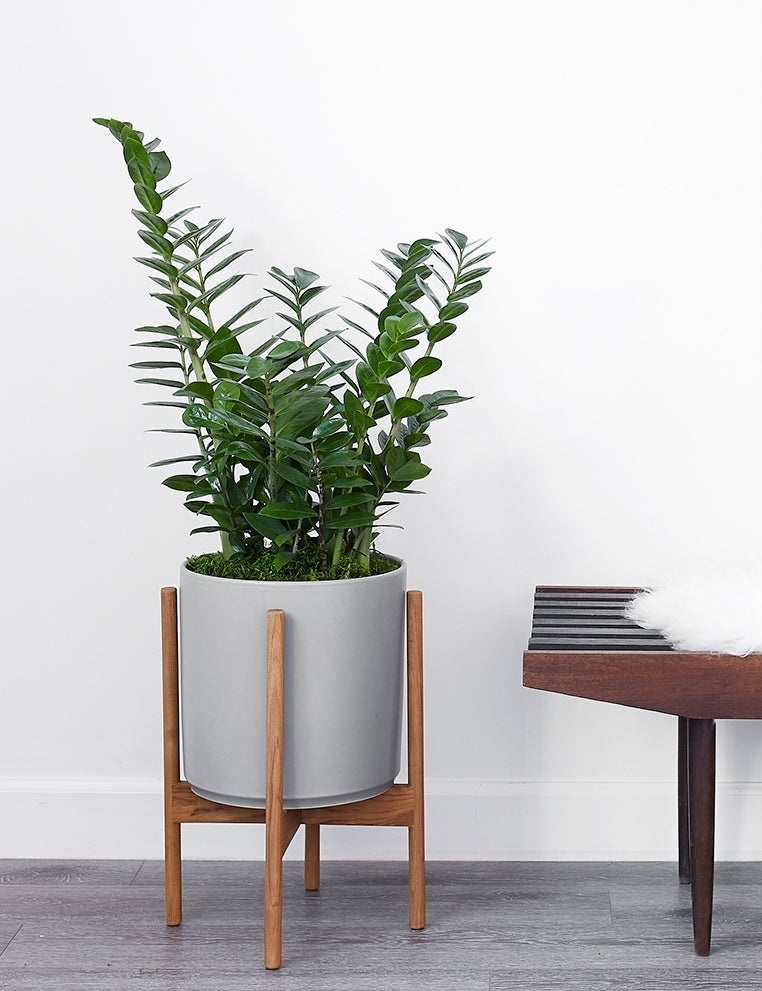 Ceramic Planter Pot + Teak Stand by LBE Design