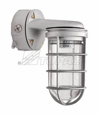 1/2" Vaporproof Wall Mount with Cage