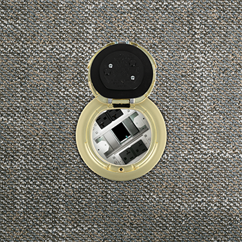 6IN PREWIRED SURF STYLE ASSEMBLY SB SATIN BRASS