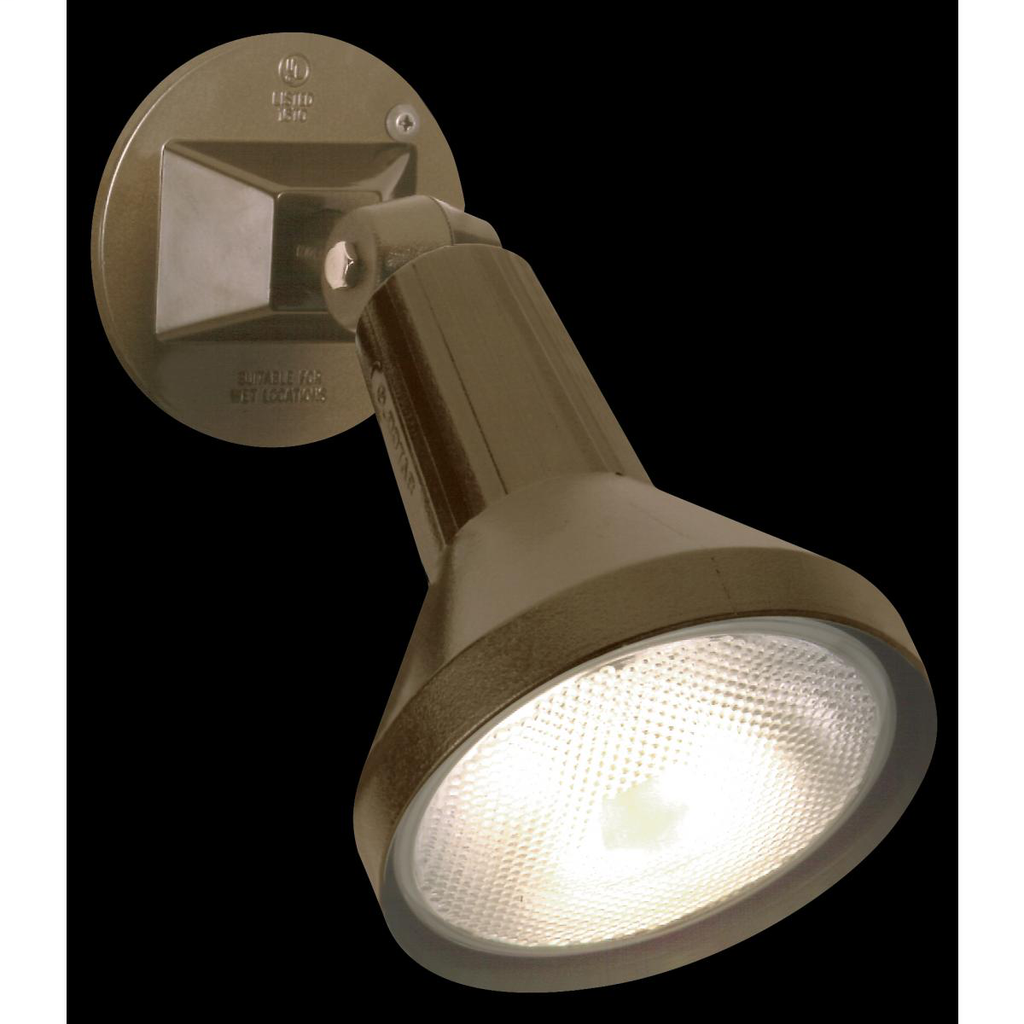 1 Light - 8" Flood Light PAR38 with Adjustable Swivel - Dark Bronze Finish