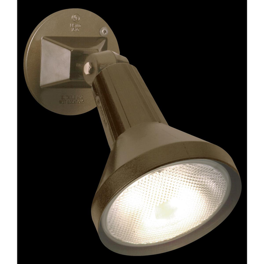 1 Light - 8" Flood Light PAR38 with Adjustable Swivel - Dark Bronze Finish