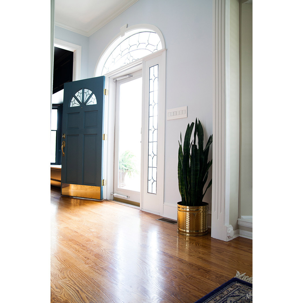 adorne® Gloss White 1-Gang Screwless Wall Plate with Microban®