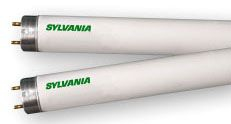 21916, Fluorescent Lamp