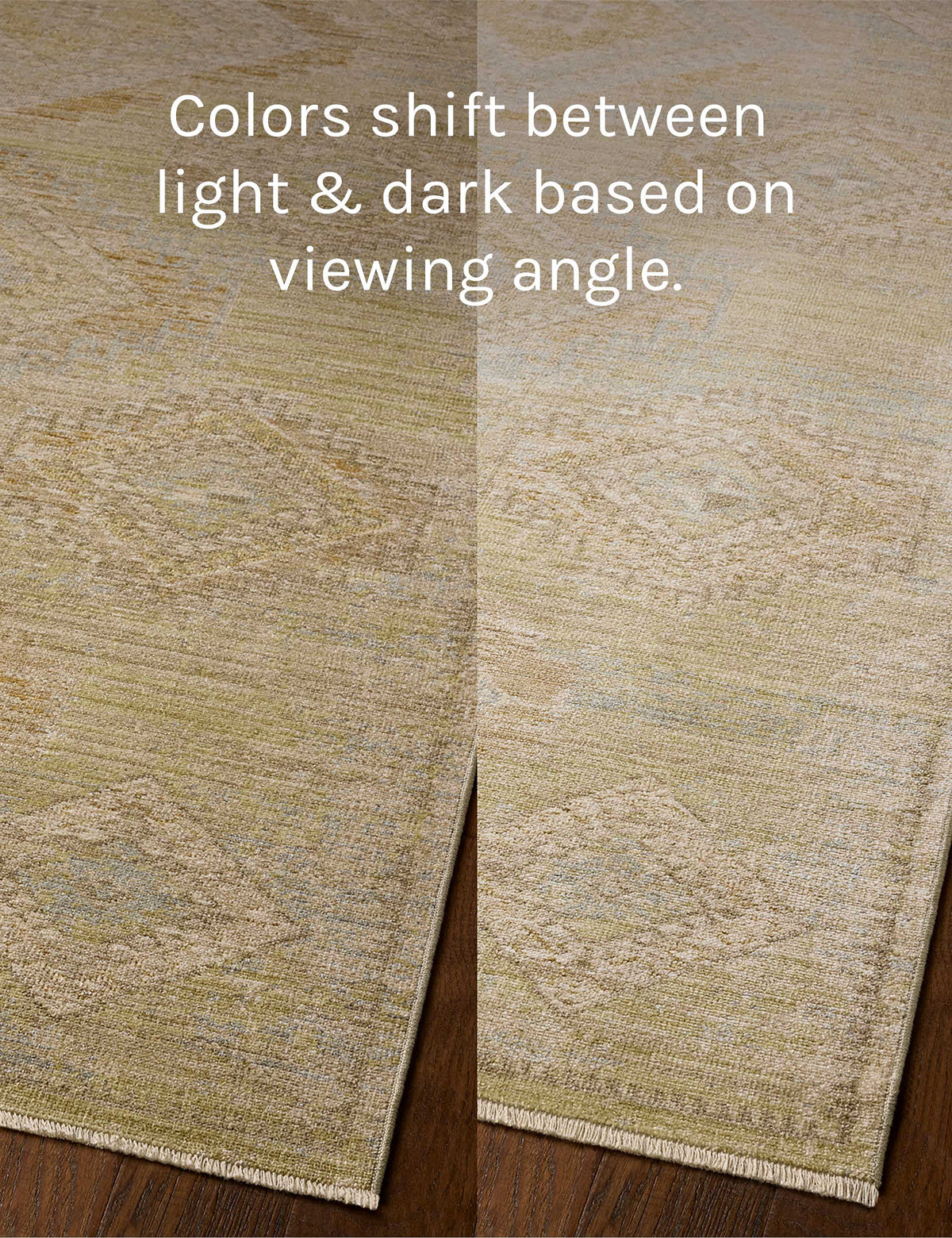 Shelley Rug