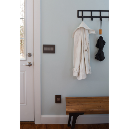 adorne® Graphite 1-Gang Screwless Wall Plate with Microban®