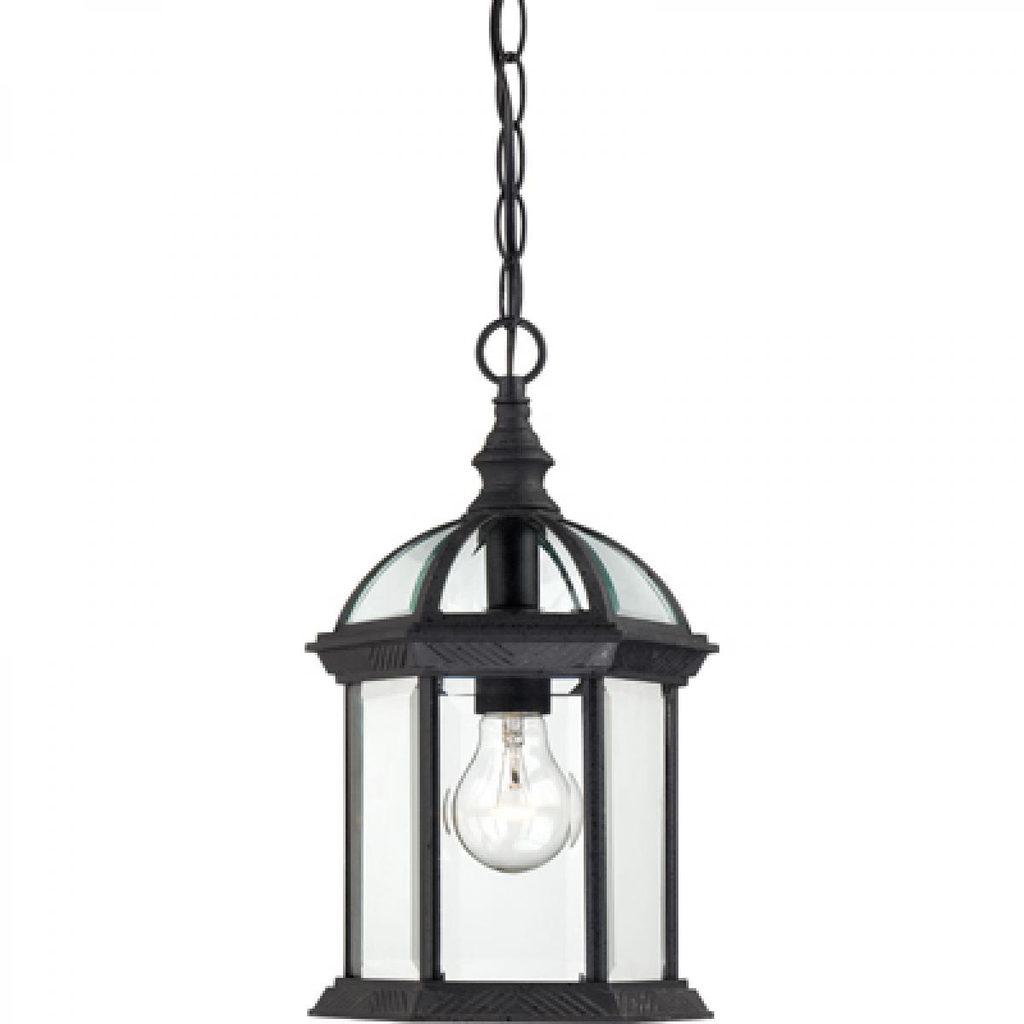 Boxwood - 1 Light 14" Hanging Lantern with Clear Beveled Glass - Textured Black Finish