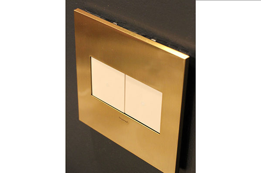 adorne® Brushed Stainless 1-Gang Screwless Wall Plate