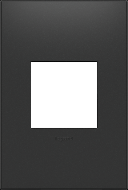 adorne® Graphite 1-Gang Screwless Wall Plate with Microban®