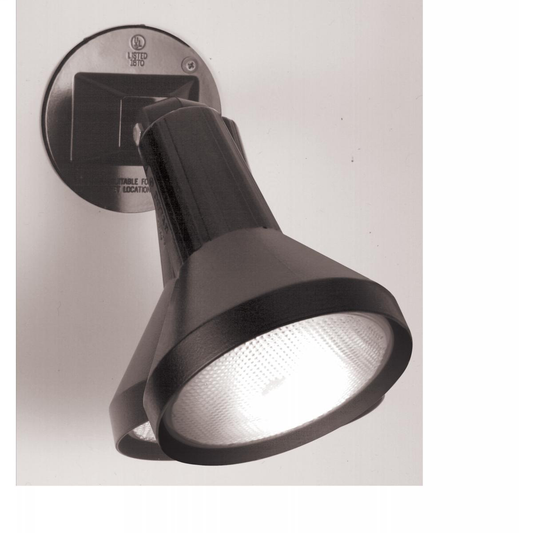 1 Light - 8" Flood Light PAR38 with Adjustable Swivel - Black Finish