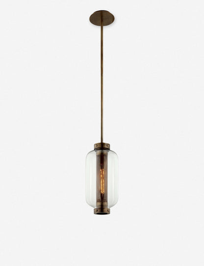 Romelia Outdoor Pendant Light