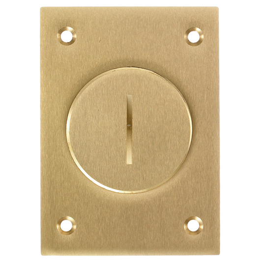 1-Gang Cover, Retangular, 2-1/8" Threaded Opening, Brass