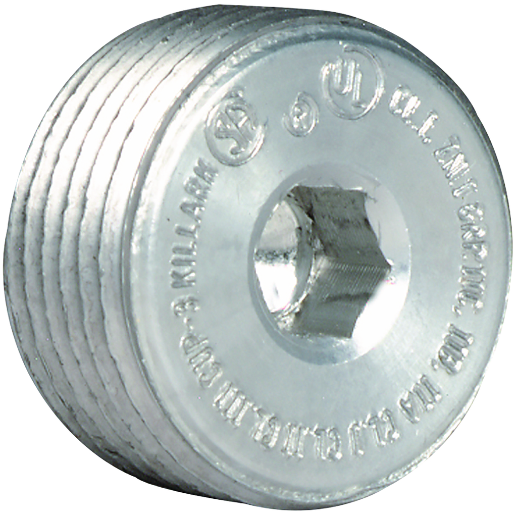 1-1/4" Aluminum, Threaded Insert Plug
