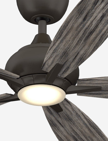 Donati Ceiling Fan + Light