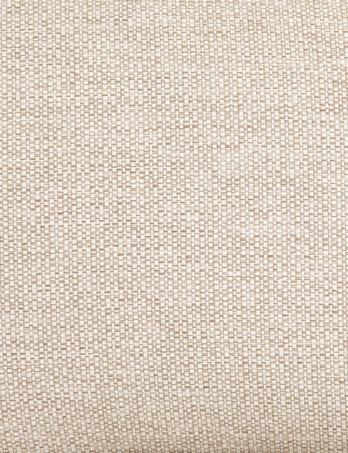 Nunelle Indoor / Outdoor Accent Chair