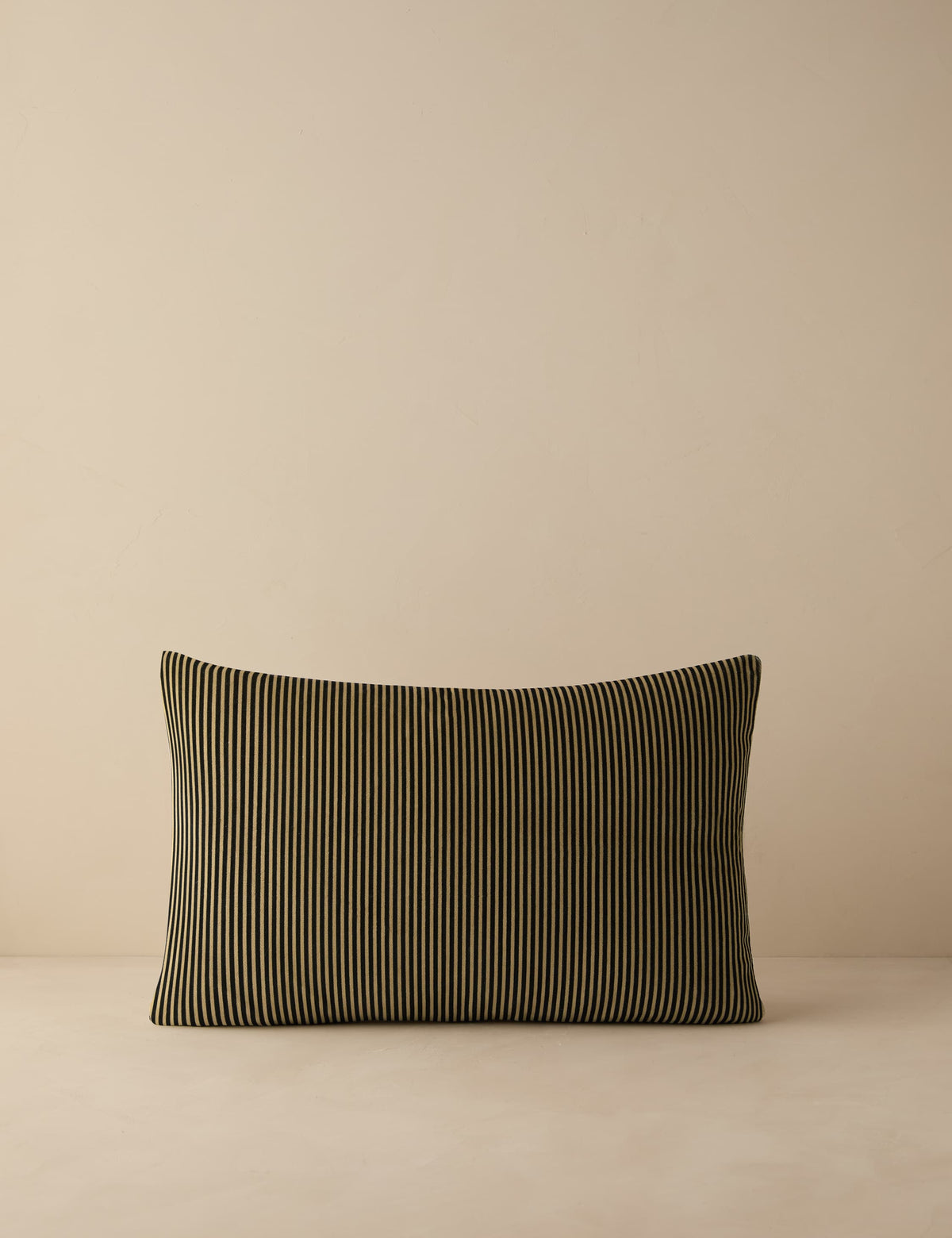 Striped Velvet Pillow by Sarah Sherman Samuel