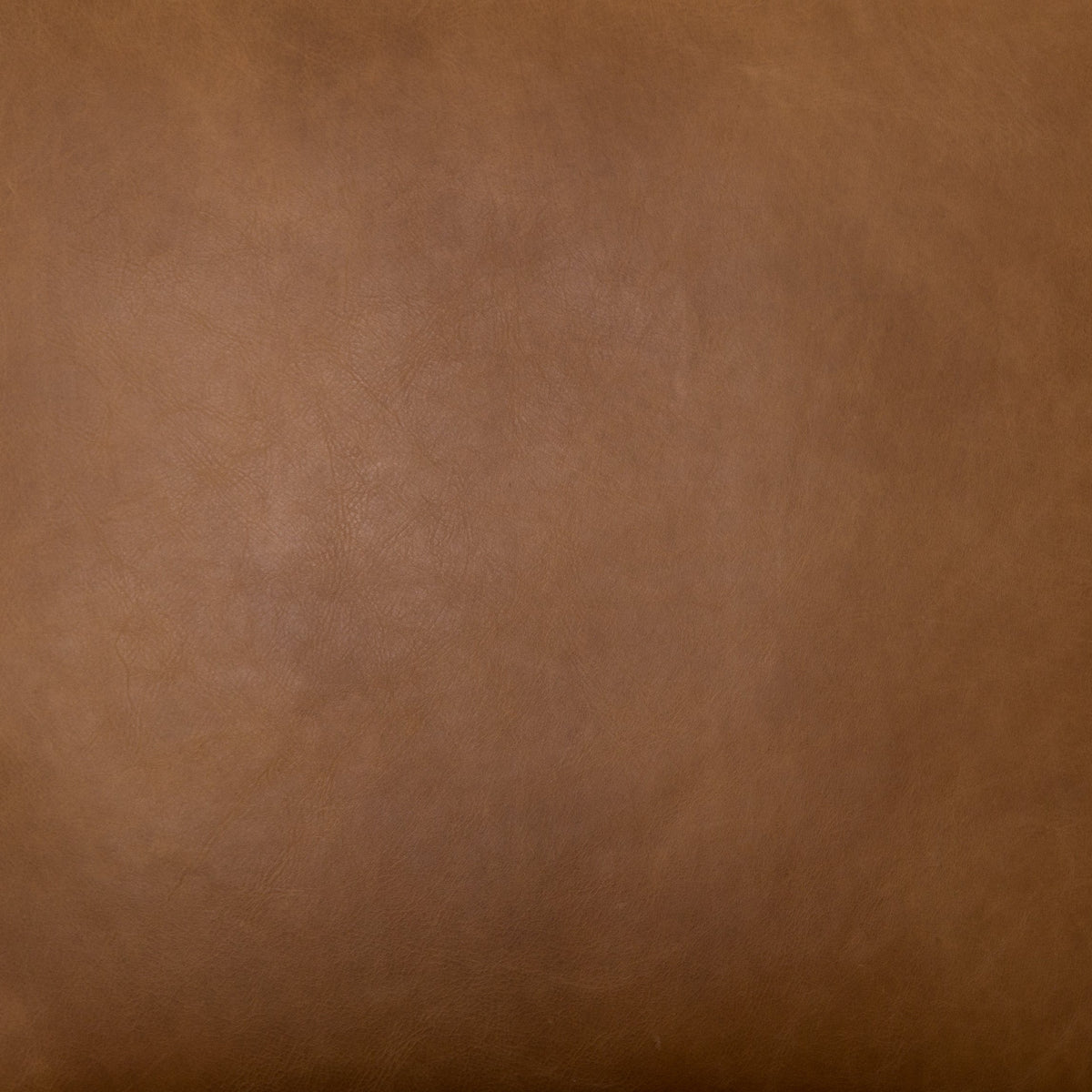 Kenneth Leather Chair