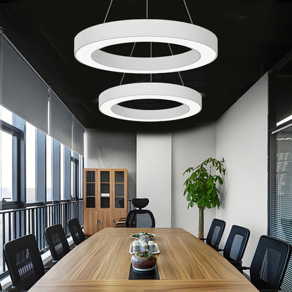 [Open-Box]LED Pendant Ring Ceiling Light Modern Metal Acrylic Light
