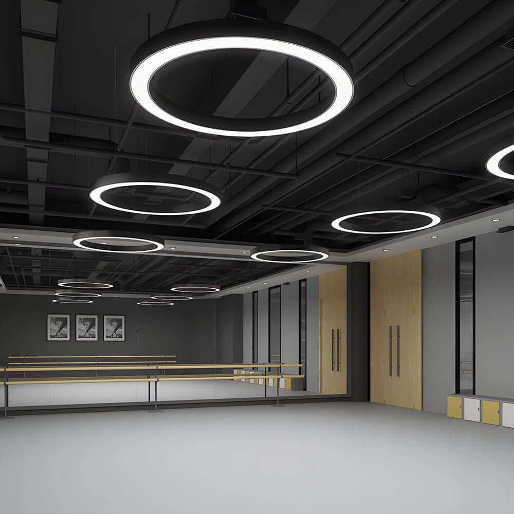 [Open-Box]LED Pendant Ring Ceiling Light Modern Metal Acrylic Light