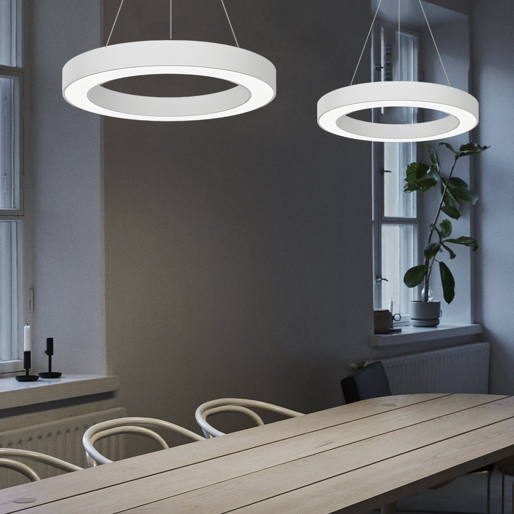 [Open-Box]LED Pendant Ring Ceiling Light Modern Metal Acrylic Light