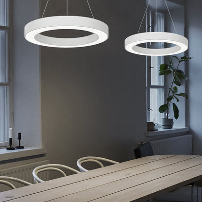 [Open-Box]LED Pendant Ring Ceiling Light Modern Metal Acrylic Light