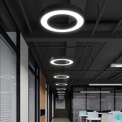 [Open-Box]LED Pendant Ring Ceiling Light Modern Metal Acrylic Light