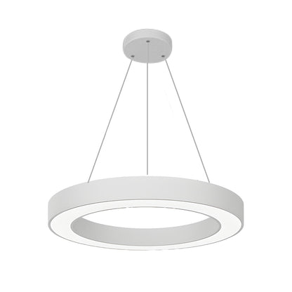 [Open-Box]LED Pendant Ring Ceiling Light Modern Metal Acrylic Light