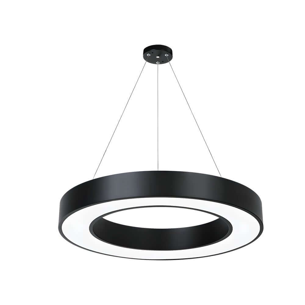 [Open-Box]LED Pendant Ring Ceiling Light Modern Metal Acrylic Light